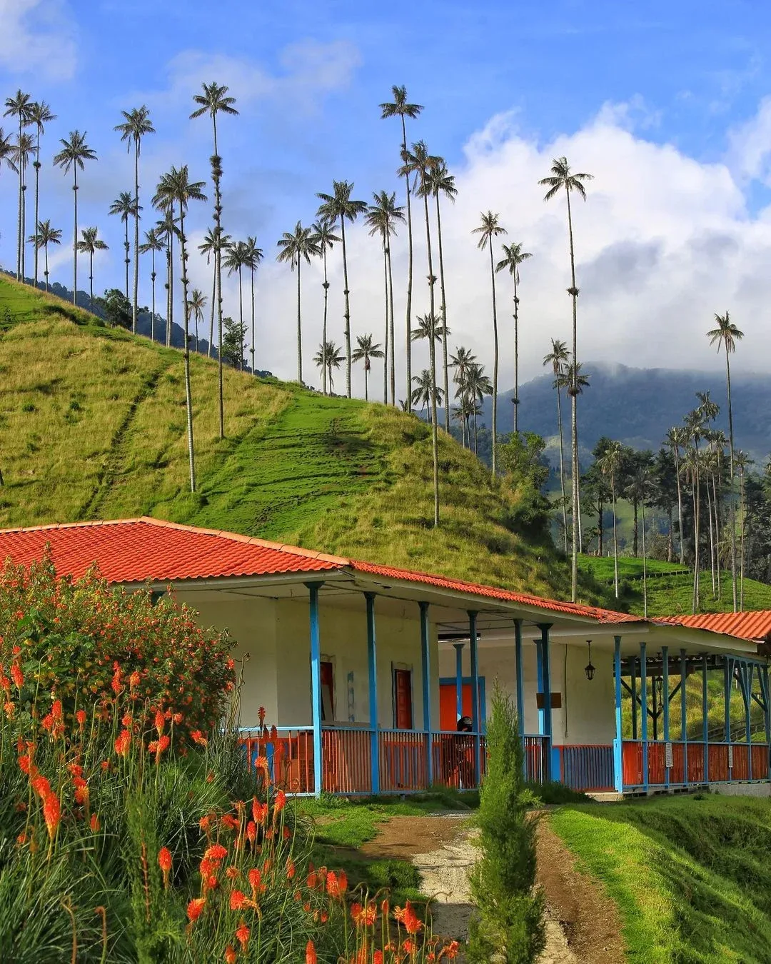 Una casa de campo de techo rojo al pie de las palmas de cera, en el Valle de Cocora