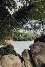Una cala entre rocas de granito y palmeras, en el parque Tayrona