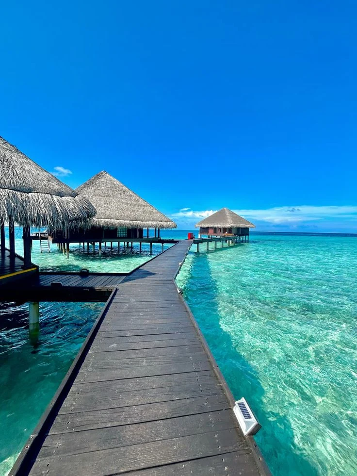 Un muelle de madera entre villas con techo de palma sobre el agua turquesa