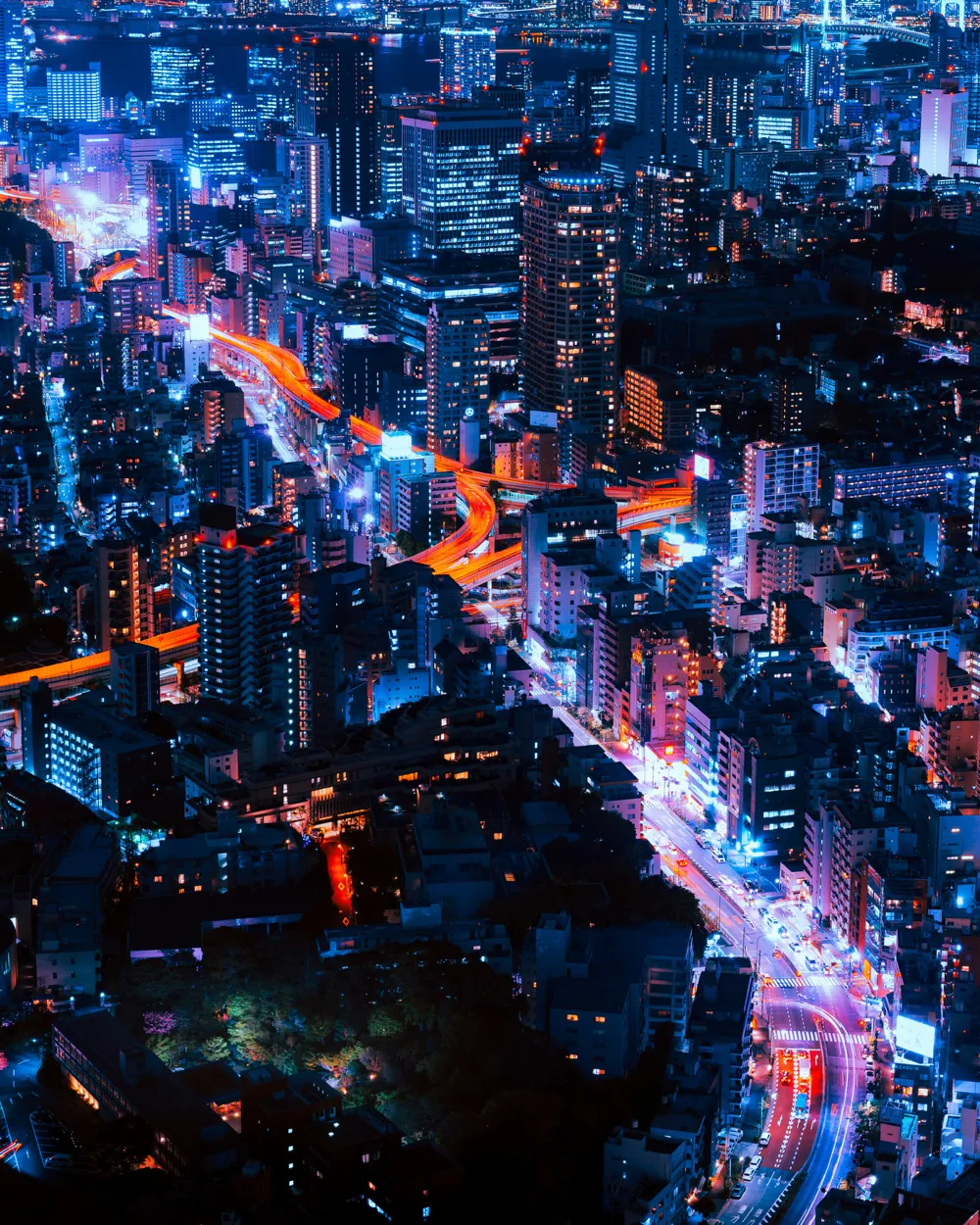 Tokio de noche vista desde lo alto, con las estelas del tráfico en la autopista elevada